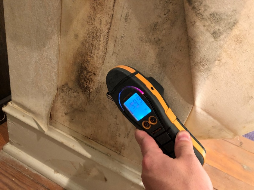 Mold inspection with moisture meter